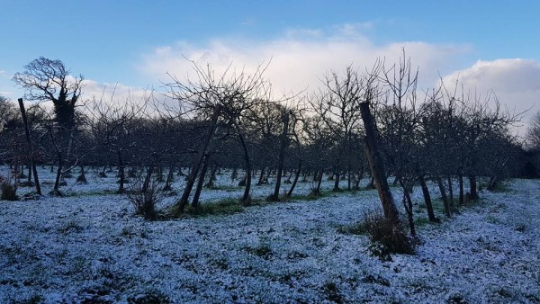 Deux nouvelles M&eacute;dailles D'Argent