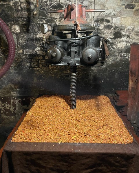 Vieillissement Prolong&eacute; 2022