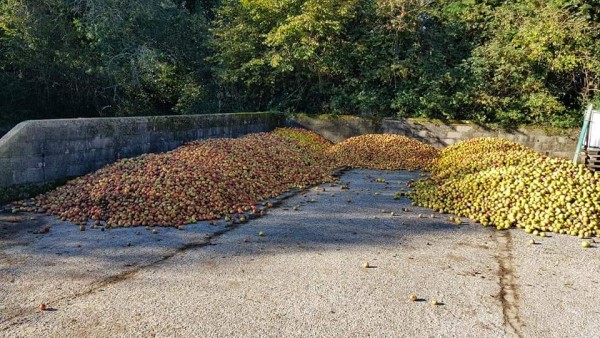 No&euml;l est en approche