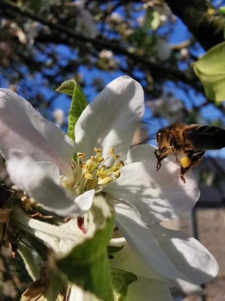 Sous le soleil Normand