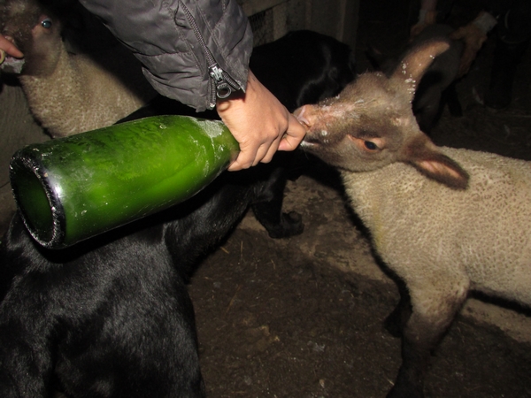 Deux nouvelles m&eacute;dailles 