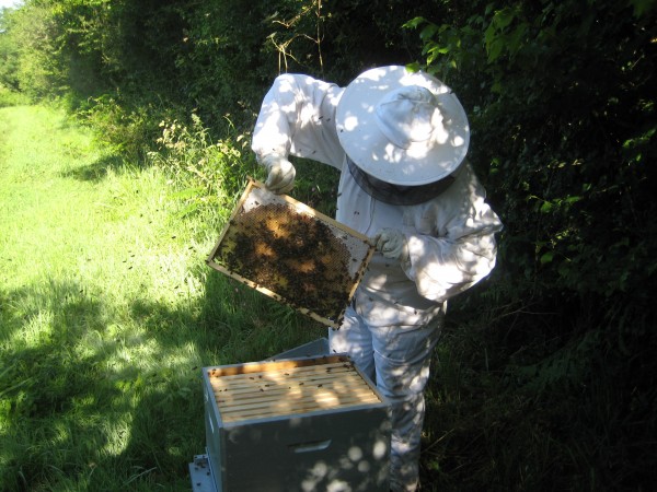 Nouveau produit en vente.