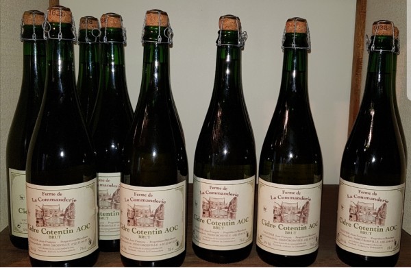 Pages Facebook et TripAdvisor