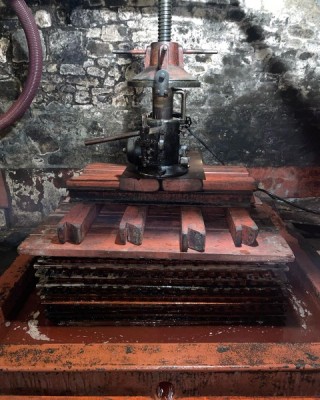 318730087-563527262447092-8603271837086192468-n__