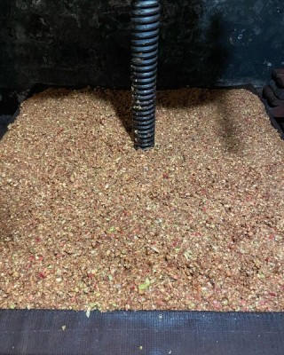 318770361-563527265780425-26692399176399289-n__