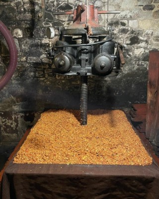 318771338-563527269113758-3435454830684268681-n__