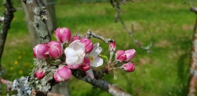 fb-img-1498600042887__