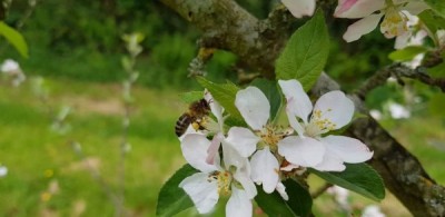 fb-img-1498600047947__