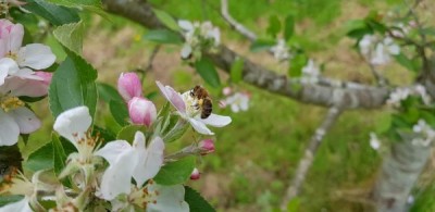 fb-img-1498600254910__